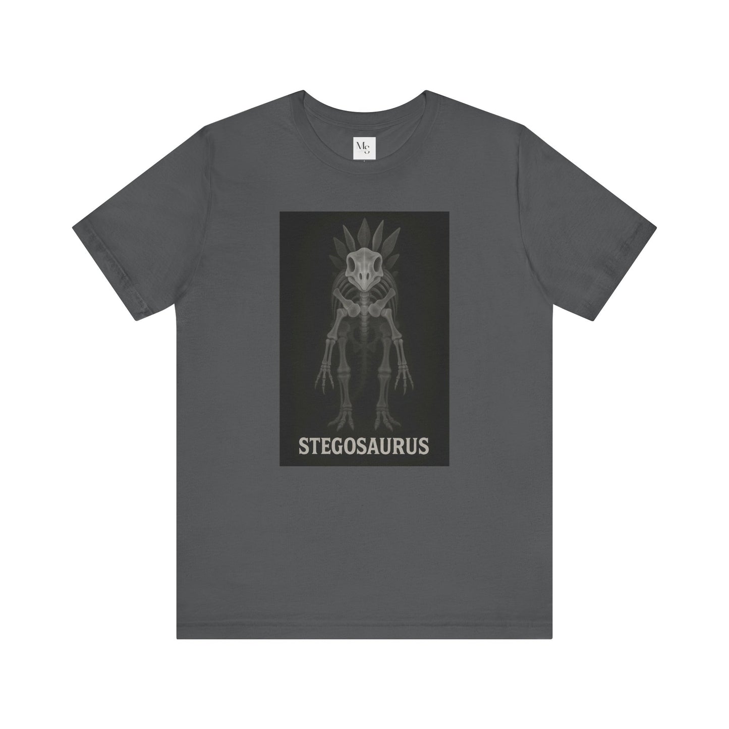 Stegosaurus X-ray dinosaur tee